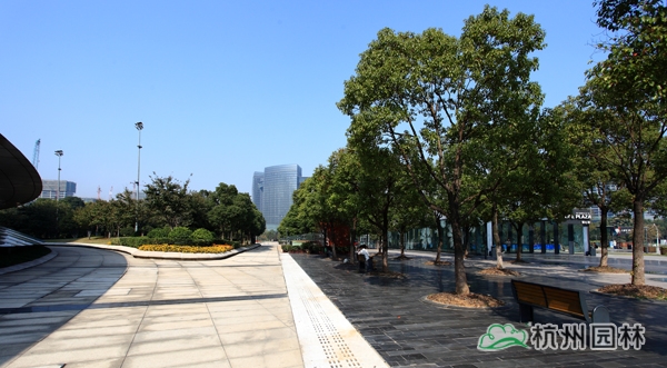 电竞比赛押注app