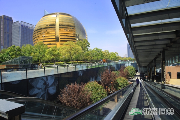 电竞比赛押注app