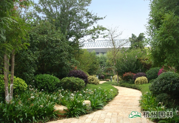 电竞比赛押注app