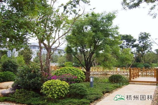 电竞比赛押注app