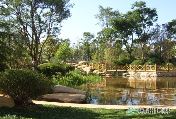 电竞比赛押注app