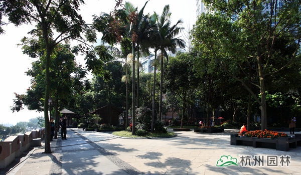 电竞比赛押注app