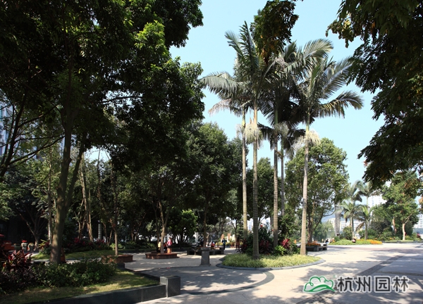 电竞比赛押注app