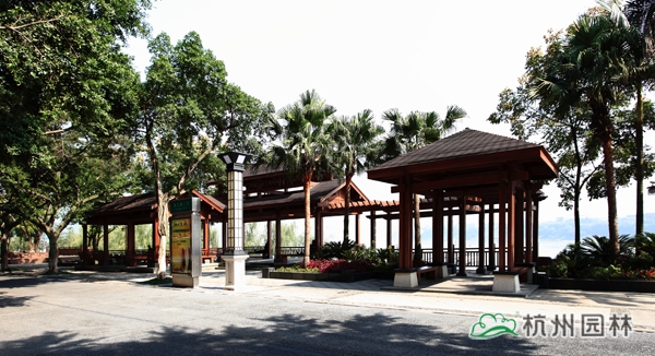 电竞比赛押注app