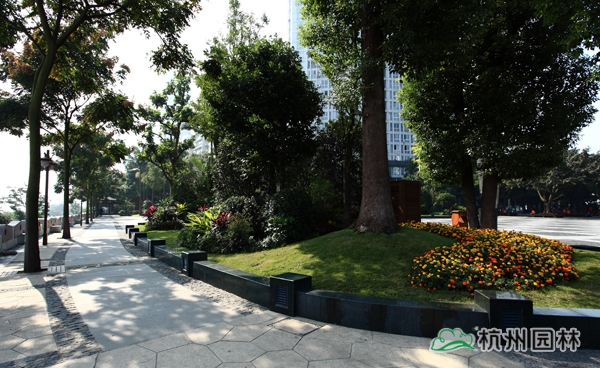 电竞比赛押注app