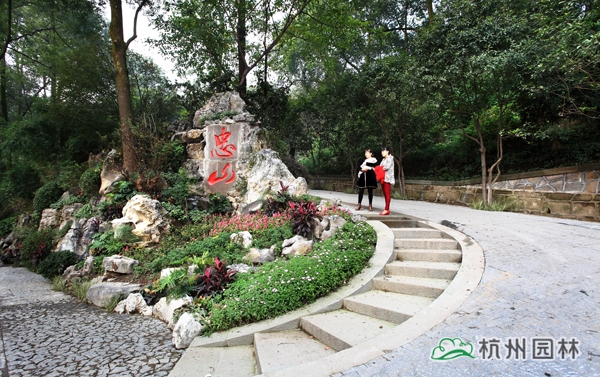 电竞比赛押注app