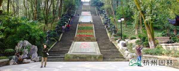 电竞比赛押注app