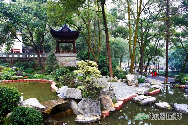 电竞比赛押注app