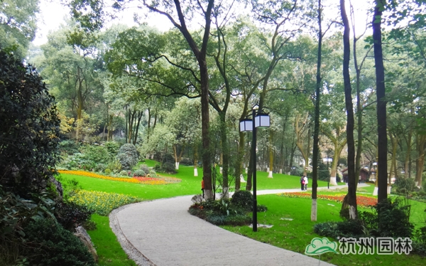 电竞比赛押注app