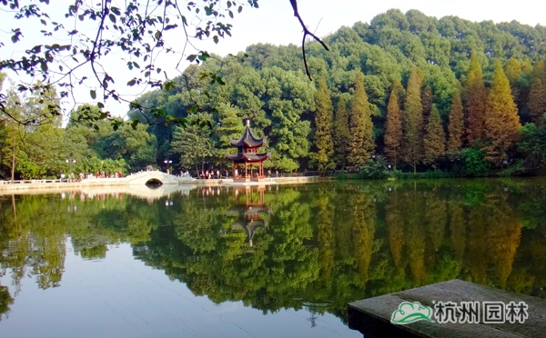 电竞比赛押注app