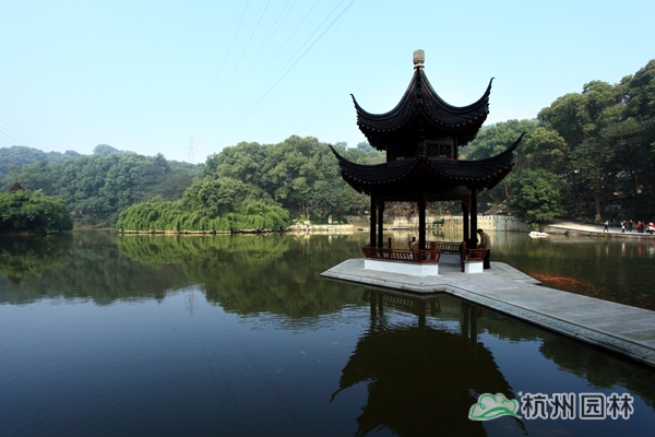 电竞比赛押注app