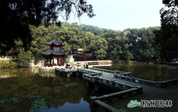 电竞比赛押注app