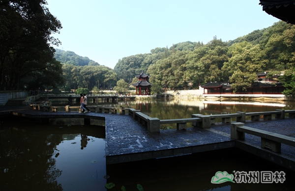 电竞比赛押注app