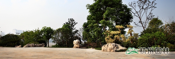 电竞比赛押注app