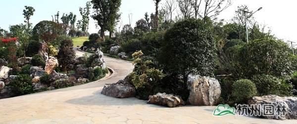 电竞比赛押注app