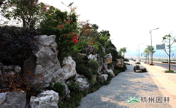 电竞比赛押注app