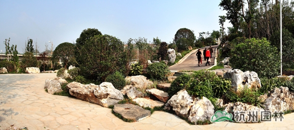 电竞比赛押注app