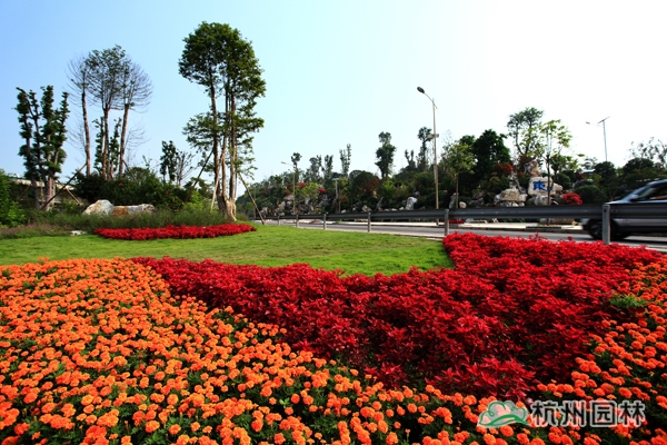 电竞比赛押注app