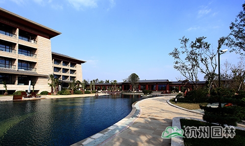 电竞比赛押注app