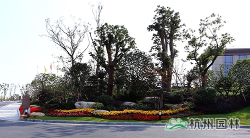 电竞比赛押注app