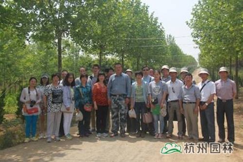 电竞比赛押注app