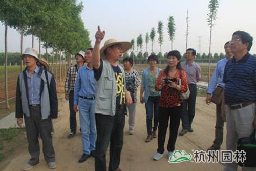 电竞比赛押注app