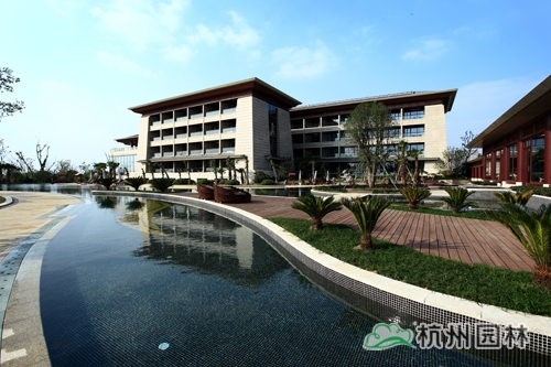 电竞比赛押注app