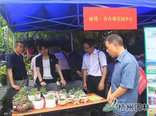 电竞比赛押注app