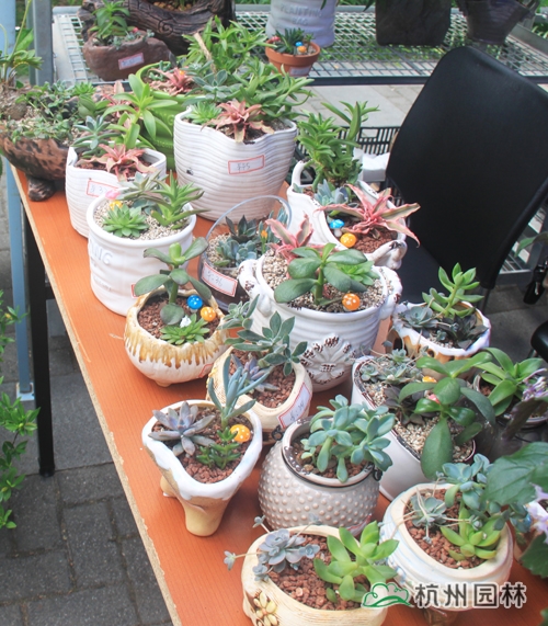 电竞比赛押注app