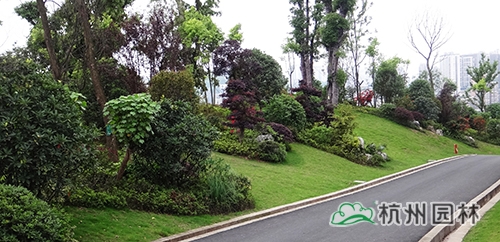 电竞比赛押注app