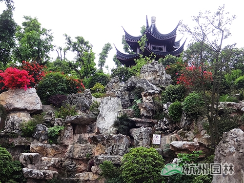 电竞比赛押注app