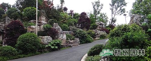 电竞比赛押注app