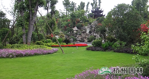 电竞比赛押注app