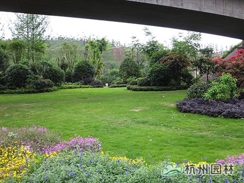 电竞比赛押注app