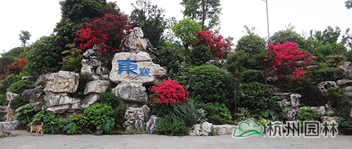 电竞比赛押注app