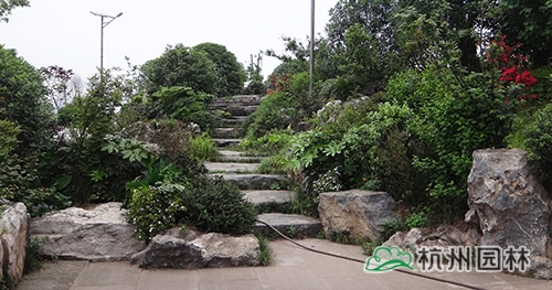 电竞比赛押注app