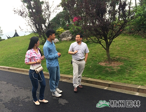 电竞比赛押注app