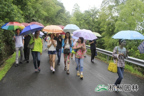 电竞比赛押注app