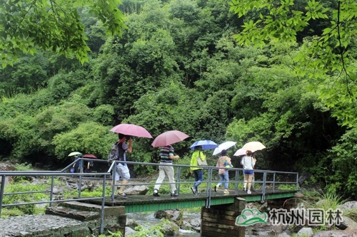 电竞比赛押注app