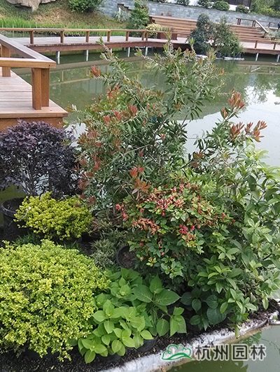 电竞比赛押注app