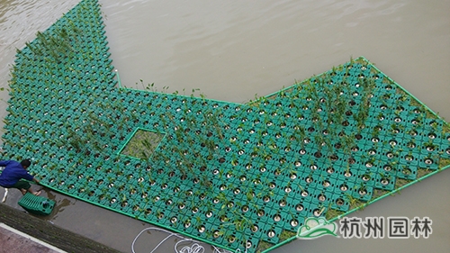 电竞比赛押注app