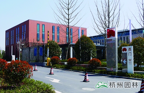 电竞比赛押注app