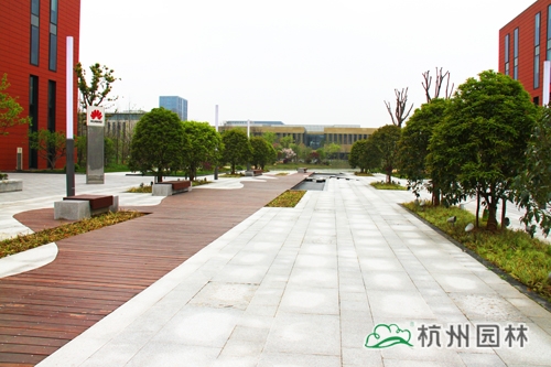 电竞比赛押注app