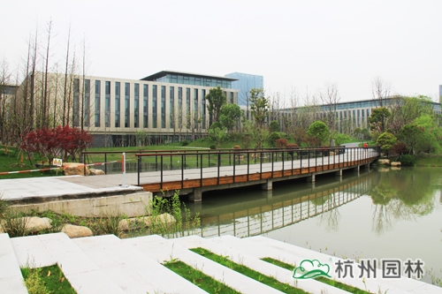 电竞比赛押注app