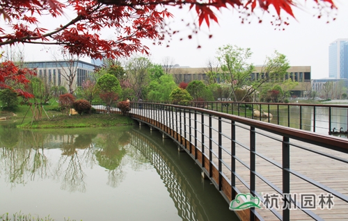 电竞比赛押注app