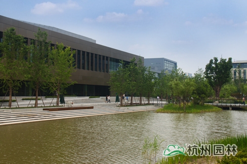 电竞比赛押注app