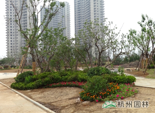 电竞比赛押注app