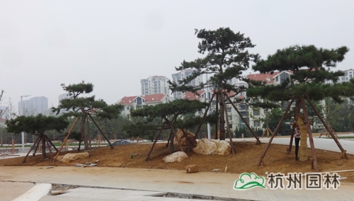 电竞比赛押注app