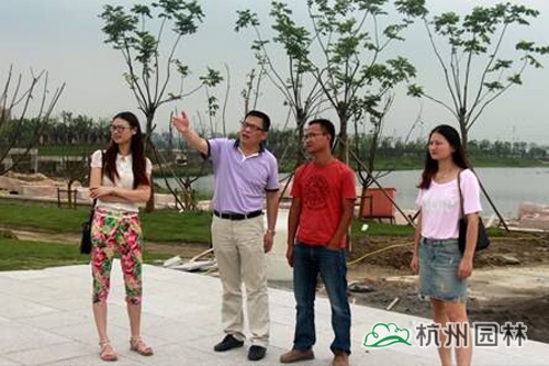 电竞比赛押注app