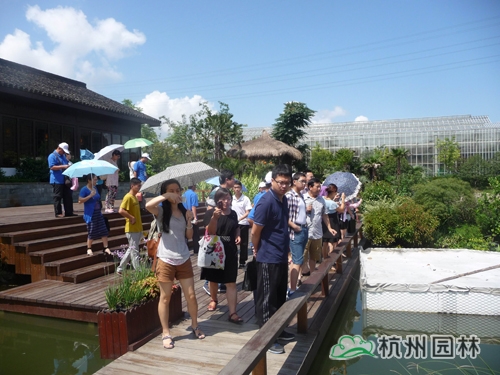 电竞比赛押注app